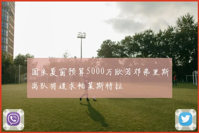 国米夏窗预算5000万欧若邓弗里斯离队将追求帕莱斯特拉