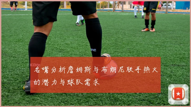 名嘴分析詹姆斯与布朗尼联手热火的潜力与球队需求