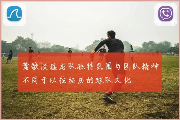 莺歌谈猛龙队独特氛围与团队精神不同于以往经历的球队文化