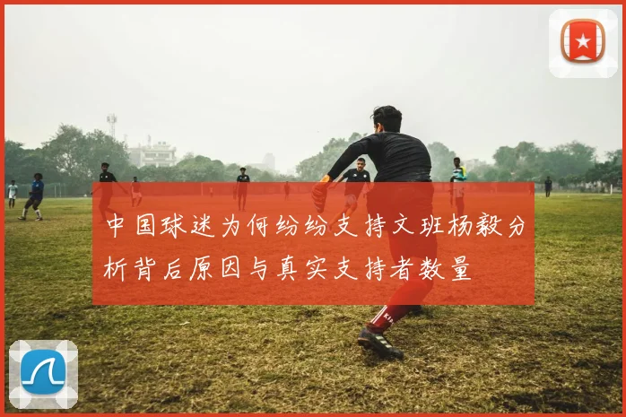 中国球迷为何纷纷支持文班杨毅分析背后原因与真实支持者数量